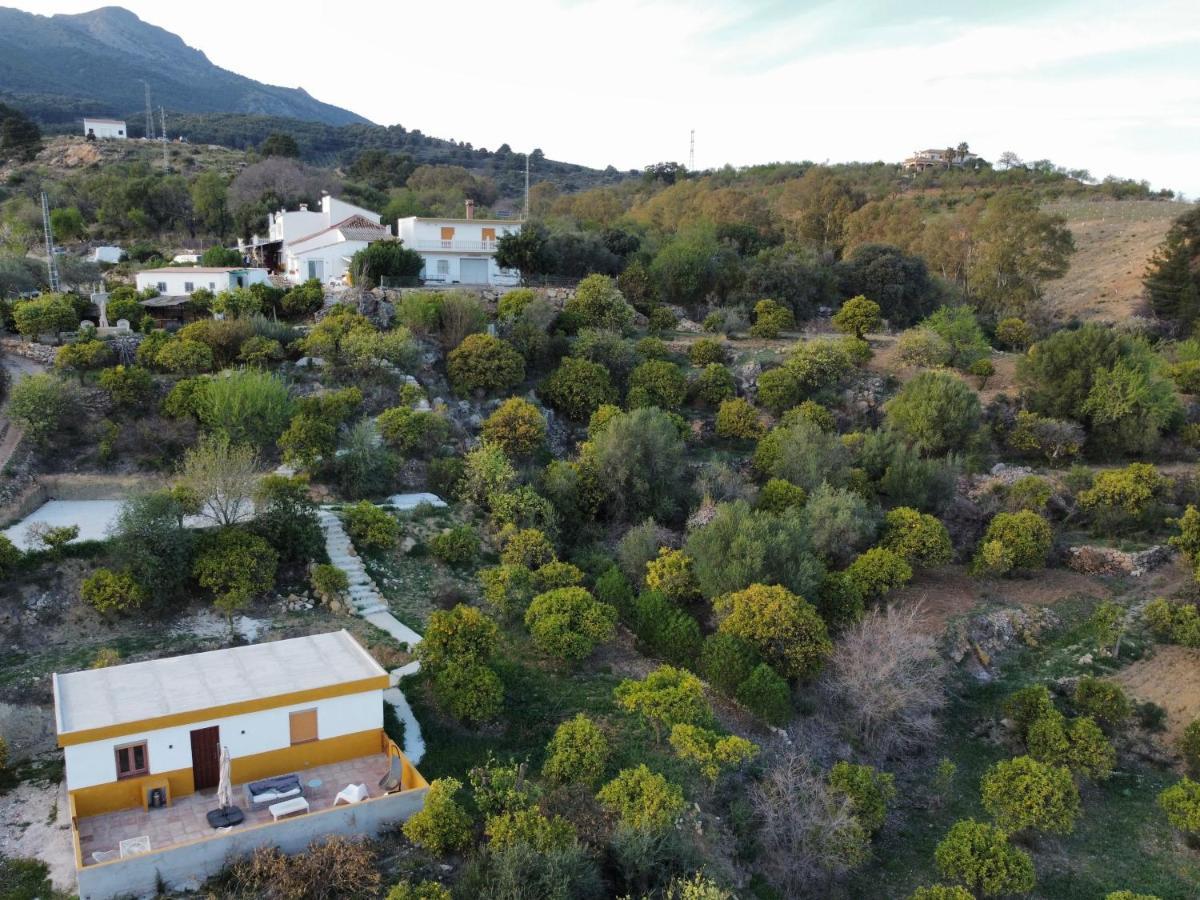 Finca Martina Lejlighed Casarabonela Eksteriør billede