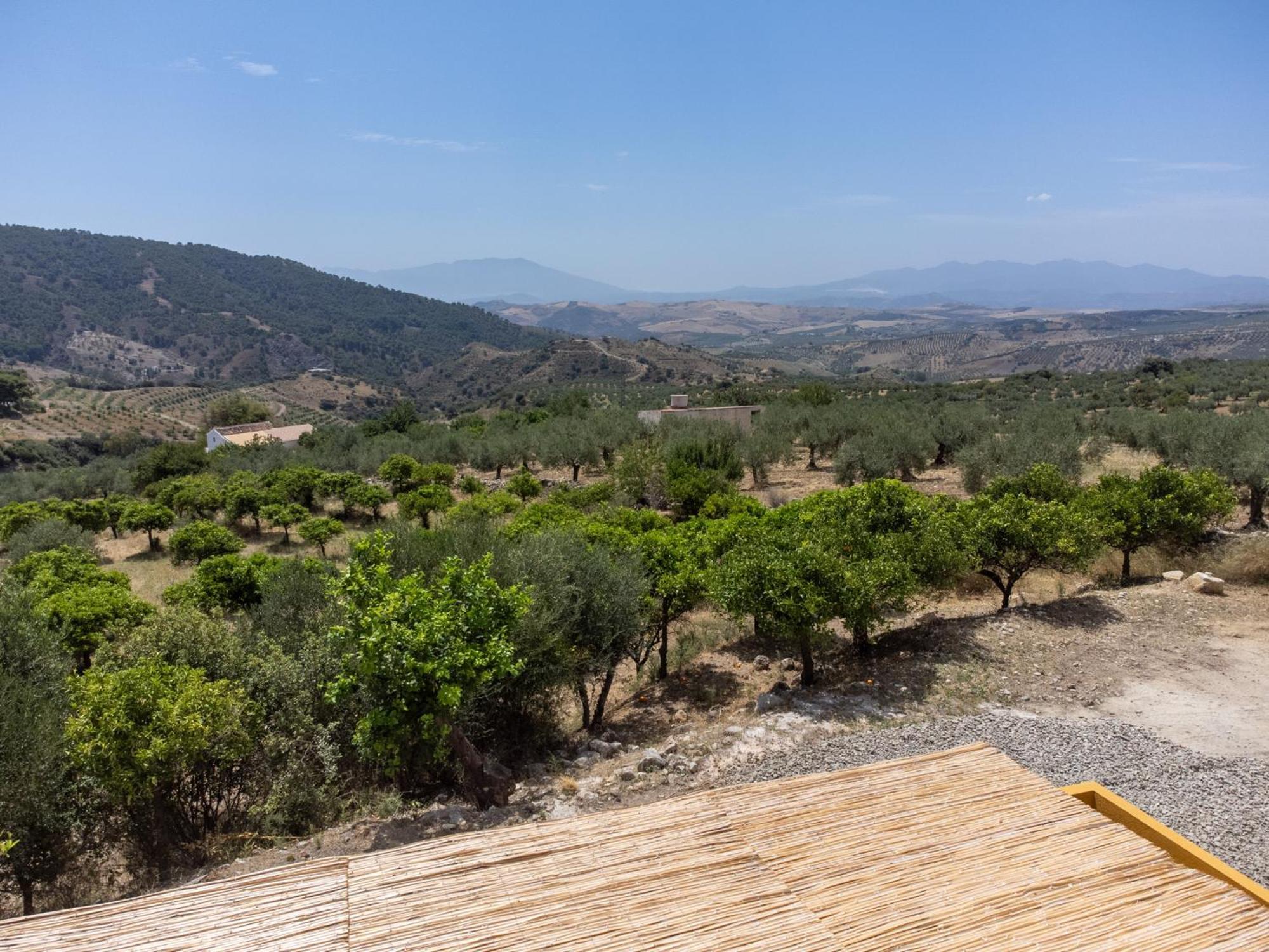 Finca Martina Lejlighed Casarabonela Eksteriør billede