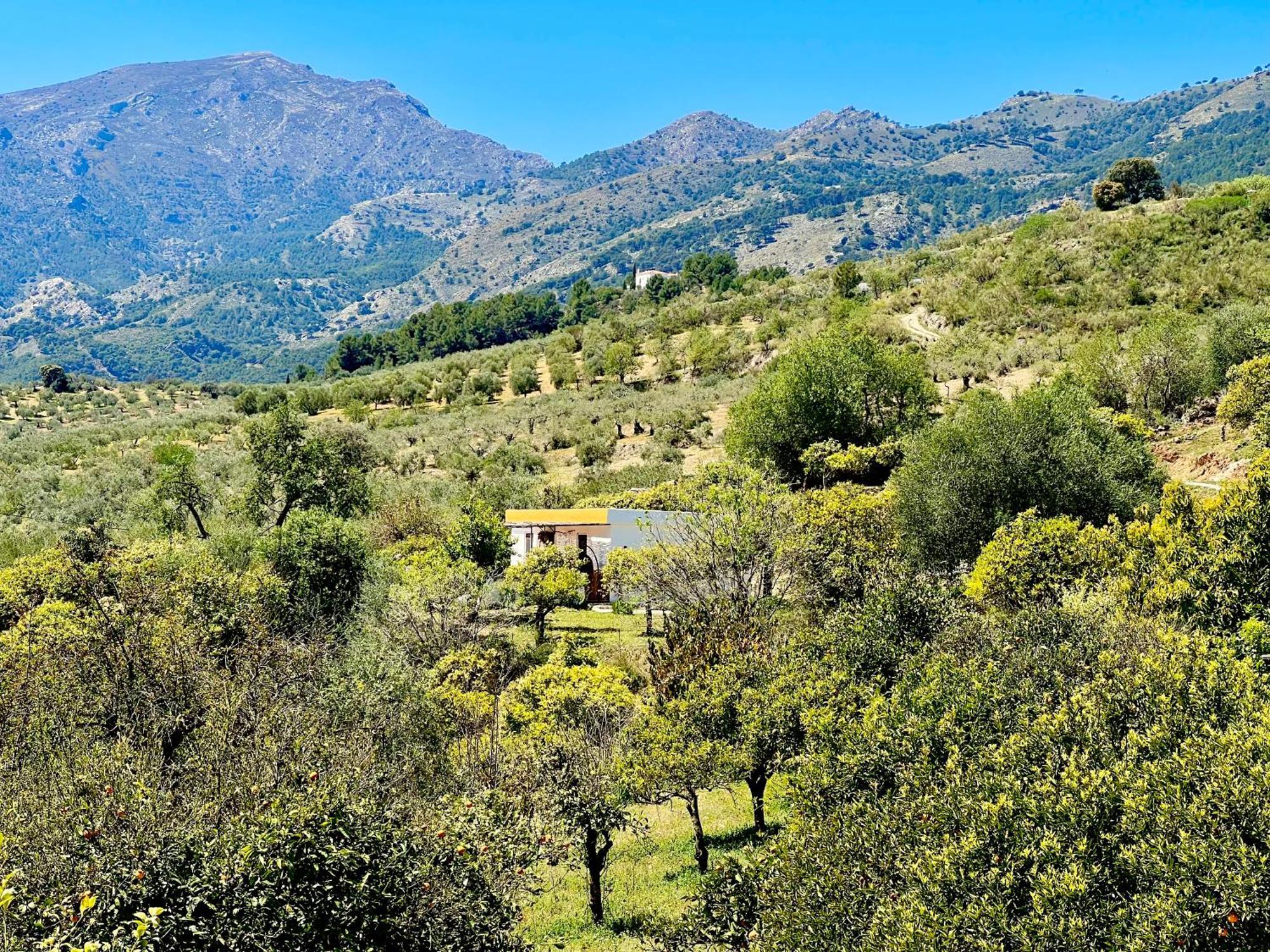 Finca Martina Lejlighed Casarabonela Eksteriør billede